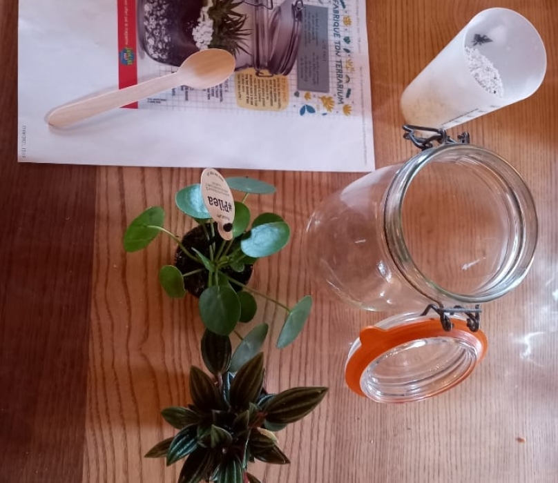 resized-20231107-141426