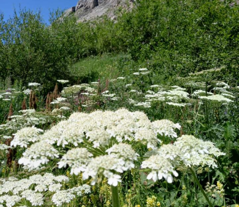 resized-20240723-150427