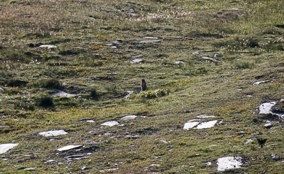 p1733698-1