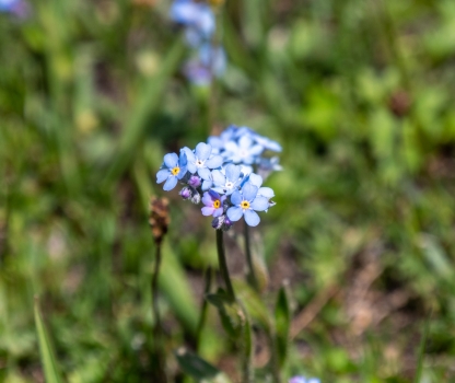 p1755463