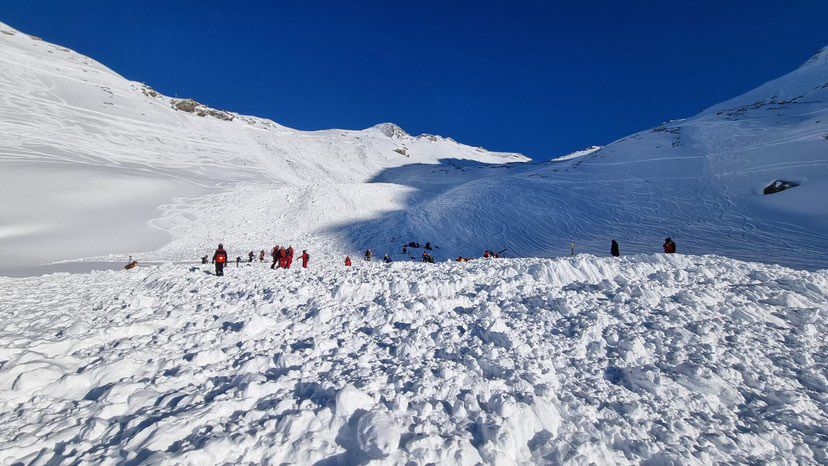 1446bd23-b4c5-4b55-81ab-df980fda1b86