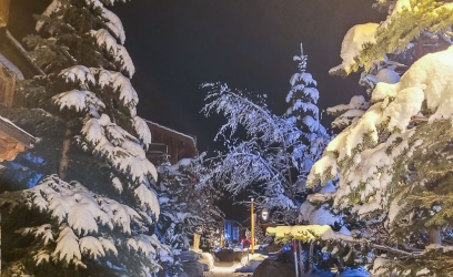 14122023-20231214-065133