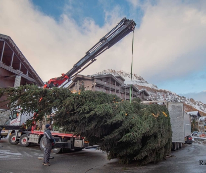 07112023-p2655655-avec-accentuation-bruit