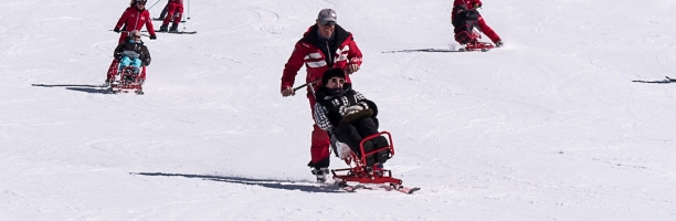 p1744265-1.jpg