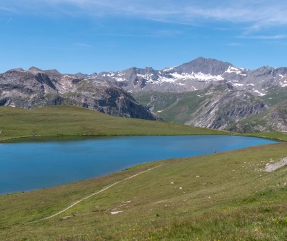 p1755459