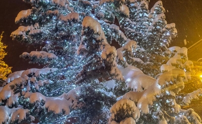 05122023-20231205-065831