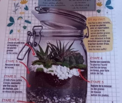 resized-20231107-141446