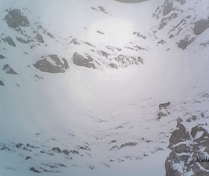 19012024-20240119-113740