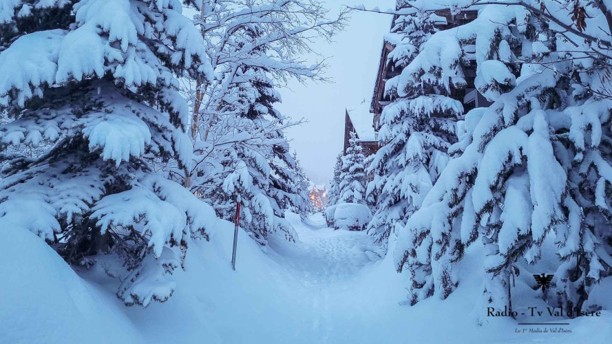 04032024-20240304-065048