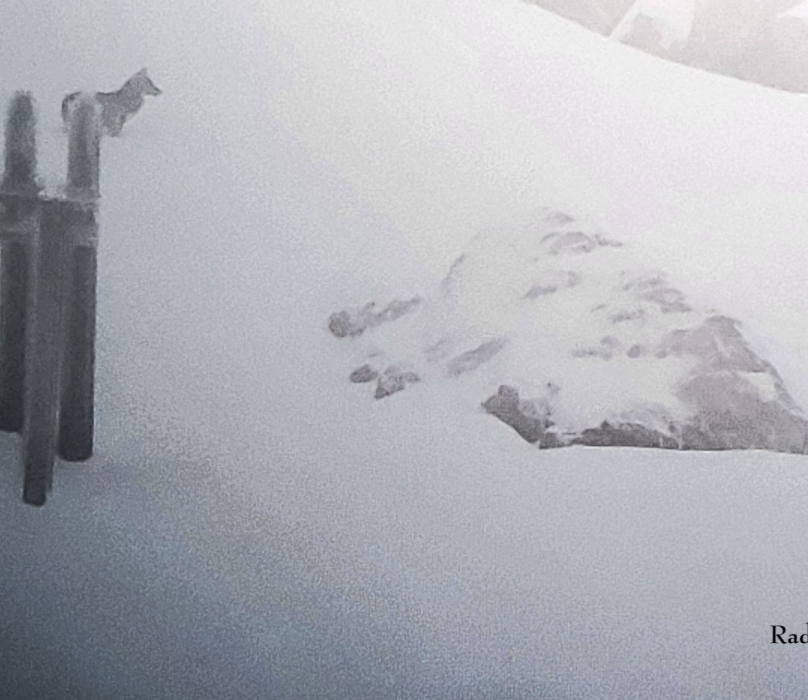 19012024-20240119-114145