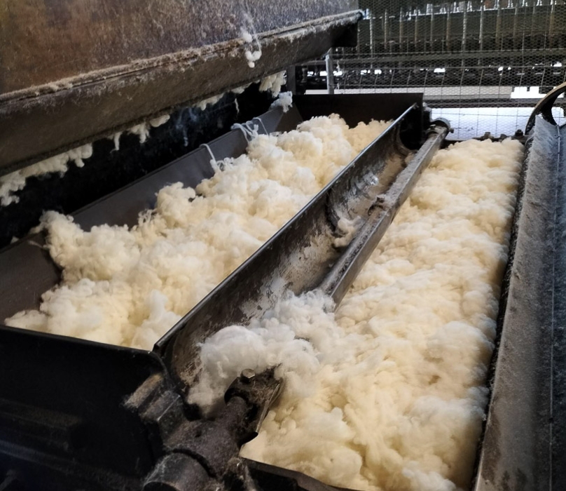 13062023-img20230613150647