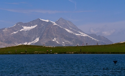 p1733070-19