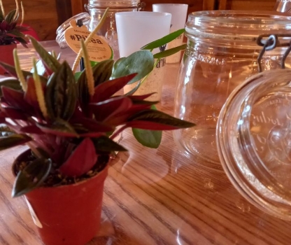 resized-20231107-141440