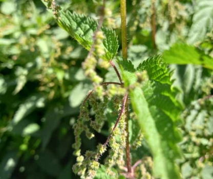 resized-20240723-153517